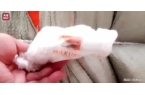 当 经期安全 沦为概率游戏EVO视讯平台